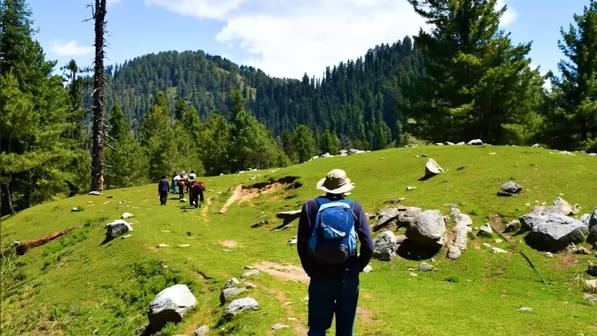 Abbottabad authorities to restore and improve hiking trails in Galiyat