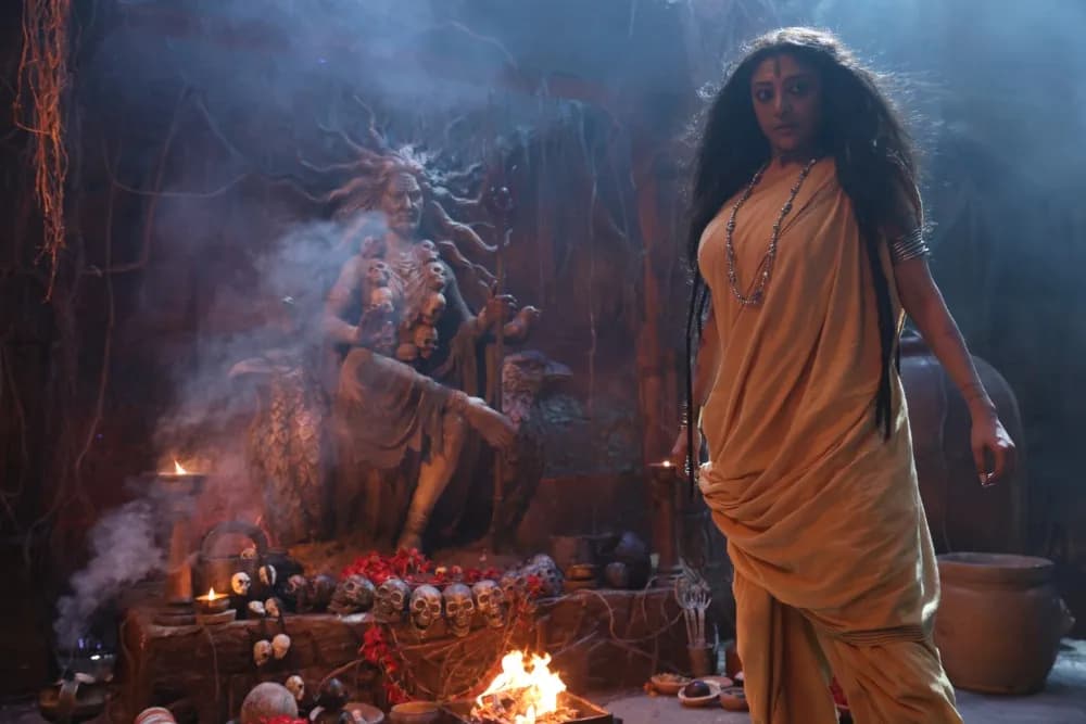 Netflix and Hoichoi partner to bring content to Hindi, Tamil and Telugu audiences
