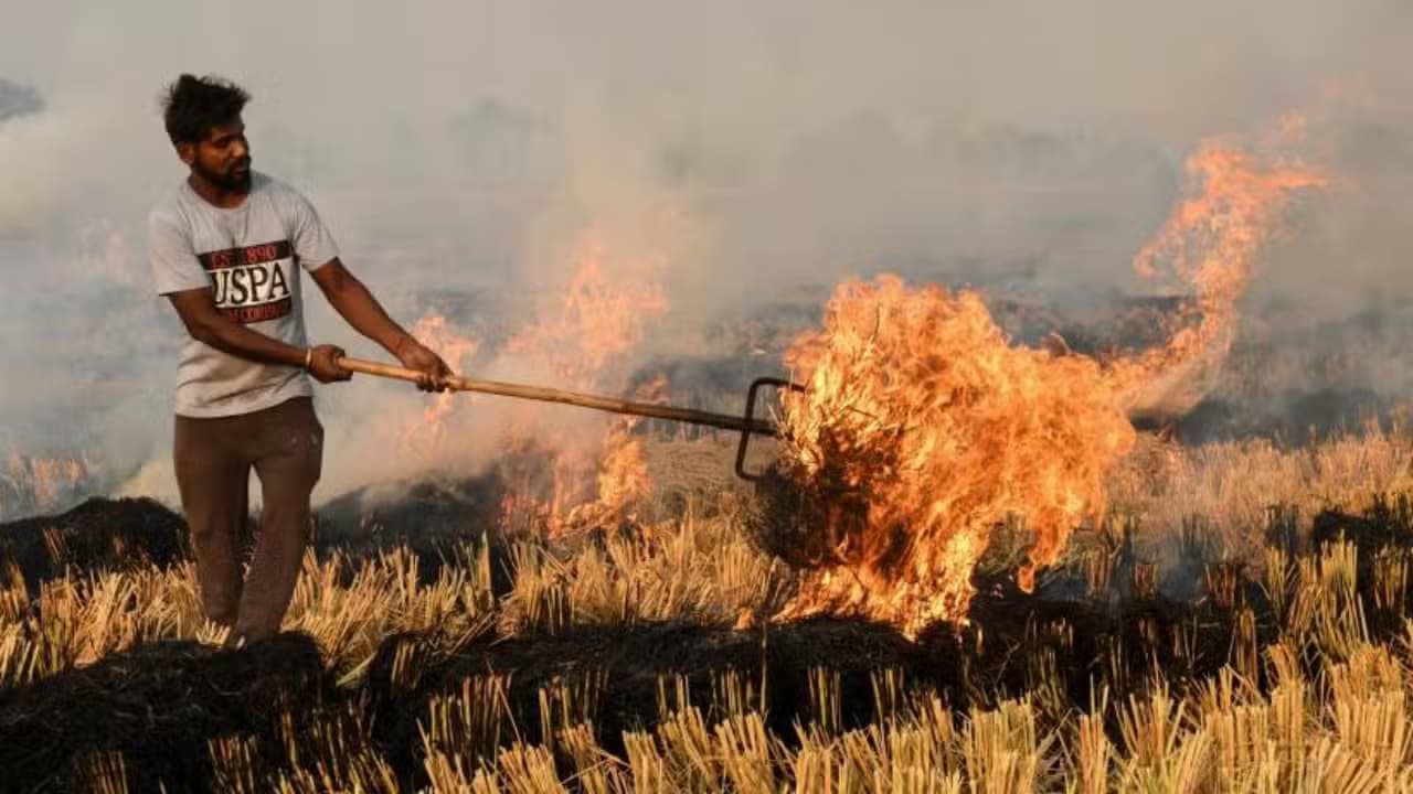Punjab Agriculture Department urges farmers to avoid rice stubble burning