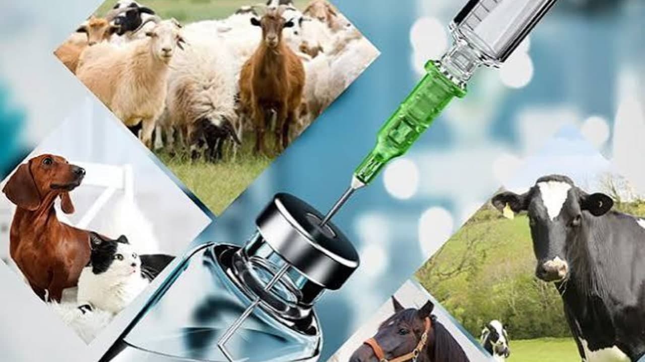 Shehbaz Sharif orders livestock vaccine plant and board restructuring
