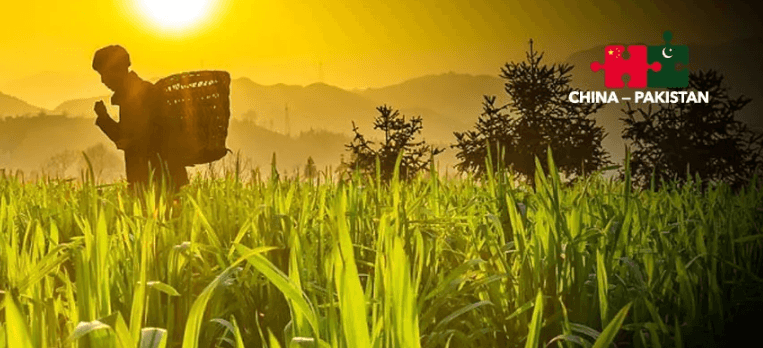 Pakistan sends 107 agricultural professionals to China for technology training
