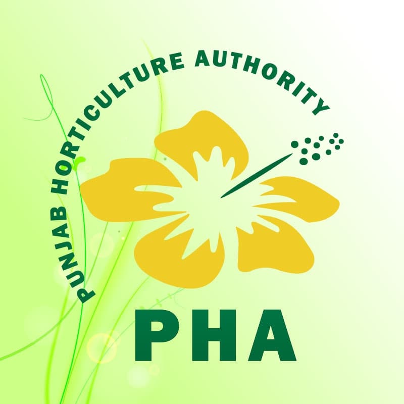 Horticulture Agency Rawalpindi enhances Potohar Park with seasonal flowers and trees