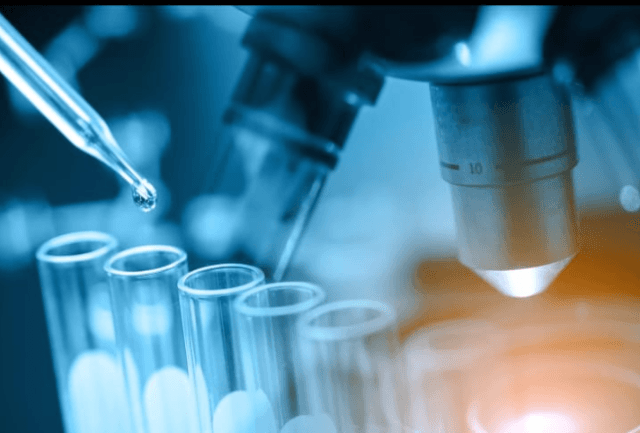 Strive Eradication of Disability Foundation to host health summit in Islamabad