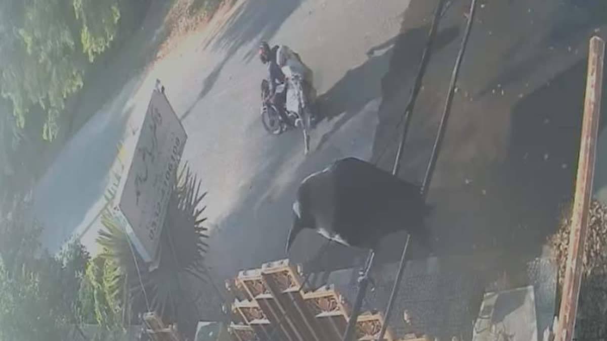 Woman jumps from moving motorcycle to escape harassment in Lahore